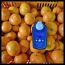 다미 농장 이미지