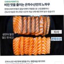 생연어 300g 9900원(배송비 미포함) *13일 까지* ++추가) 500g 지마켓은 안끝남!! 이미지