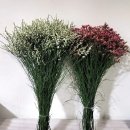 황정농장 | 주말의 선물 .고창수박.시넨시스