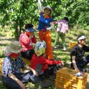 은식농장 이미지