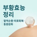 부황효능 정리｜혈액순환·피로회복·통증완화 효과 한눈에