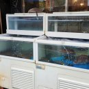 회결사포차 이미지