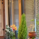 반유민박 이미지