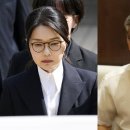 신평 이데일리