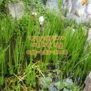 여주좋은땅공인중개사사무소 이미지