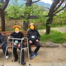 중앙시니어통합복지센터 이미지