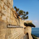 거제대구수산물축제 이미지