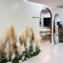 탈모왕 광주점 이미지