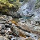 스팅 펜션 이미지