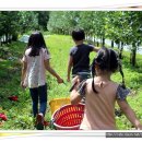 기중농장 이미지