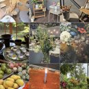 (주)백제허브 | 2026년 1월 결산 (02)