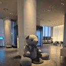 메종드쁘띠푸르연동점 | [제주] 신라스테이 제주 조식 신청 안 해서 메종드쁘띠푸르 연동점에서 아침 먹은 후기