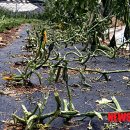 논미2리 이미지