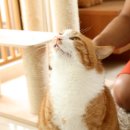 토토미용실 이미지