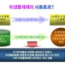 고추재배시 미생물 제제의 사용효과 이미지