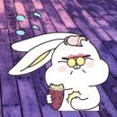 톰과제리 이미지