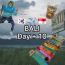 테이스트캠프 | 2월의 발리 10 - 우붓│발리 일출 명소 발리 활화산 "바투르산 일출 등산" 우붓 커피농장 "산티 커피...