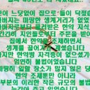 고통의 멍에 벗으려고 - 272장 천부여 의지 없어서 - 280장 이미지