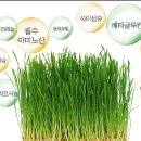 동광종합물산(주) 이미지