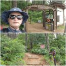 녹음이 짙어가는 여름날의 평화누리길 2코스(조강철책길) 트레킹 이미지