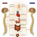 CM Fitness 이미지