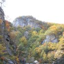 오대산서울 이미지