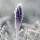 염소자리 이미지