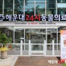 해운대 24시 동물의료원 이미지