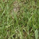 서부농약사 이미지