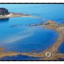 보령아산병원 이미지