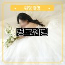 웨딩 조화 센터피스 대여 가성비 플라워디렉팅 렁크웨딩 후기 화이트 그리너리 웨딩 촬영 필수 소품