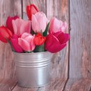 원예,미술치유 이미지