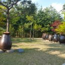 술빛정원