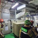 대원청과 이미지