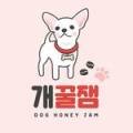 개꿀잼 애견카페 이미지