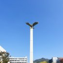 -저항 시인 윤동주- 이미지