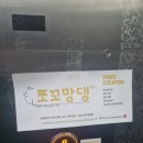 101마리 애견 | 관악구 애견유치원,루프탑 애견카페 "쪼꼬망댕" 후기