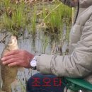 청미천 4 이미지