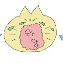 미지원약국 이미지