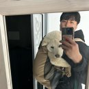 대운오토바이