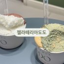 젤라떼리아도도 | 평일에도 만석이던 수원스타필드 젤라또 맛집 | 젤라떼리아 도도 내돈내산 후기