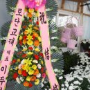 여주-0203 이미지