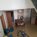 로얄스포렉스 이미지