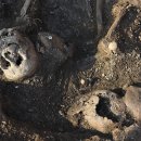 골령골 민간인 학살 사건 유해 발굴 이야기-볕으로 나온 뼈들이 말을 한다 이미지