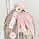 만월청과 이미지