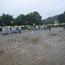 신성초교 이미지