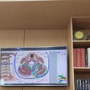 판교바른신경외과의원 | 판교역 물리치료/ 판교 바른신경외과 어깨와뒷목 땡겨서 방문함