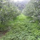 땅골농장 이미지