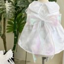 단아한펫 이미지