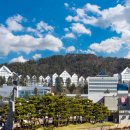 조선대학교 이미지